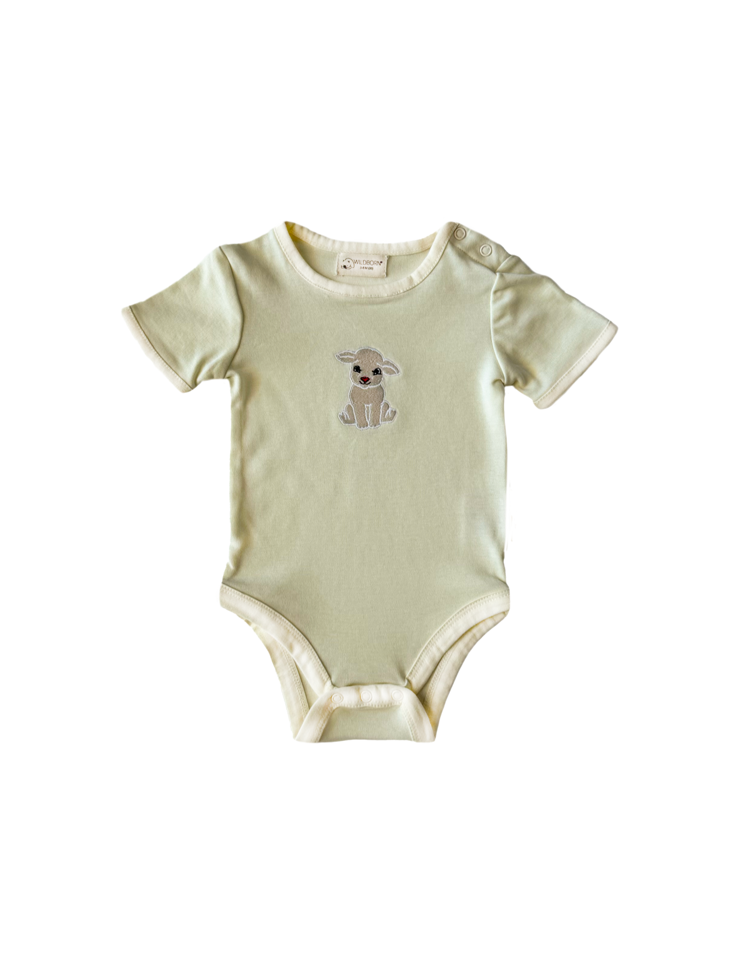 Light green baby onesie with a small design on a white background