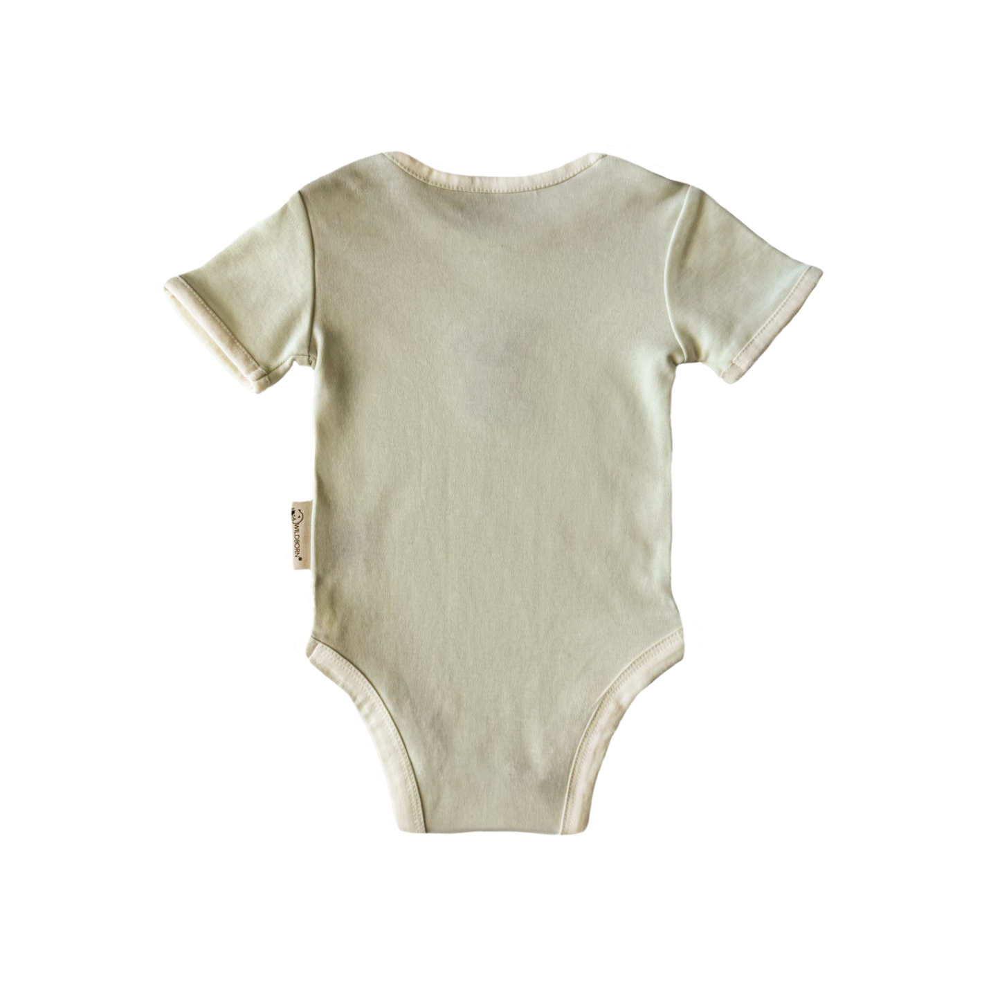 Light green baby bodysuit on a white background