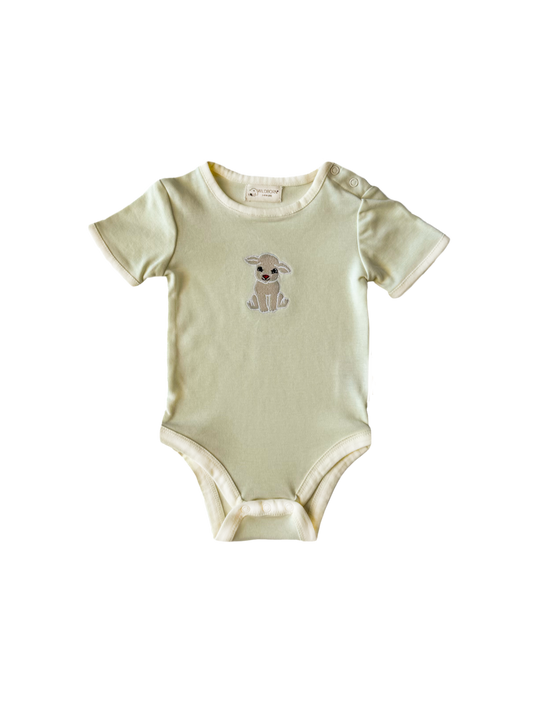 Light green baby onesie with a small design on a white background