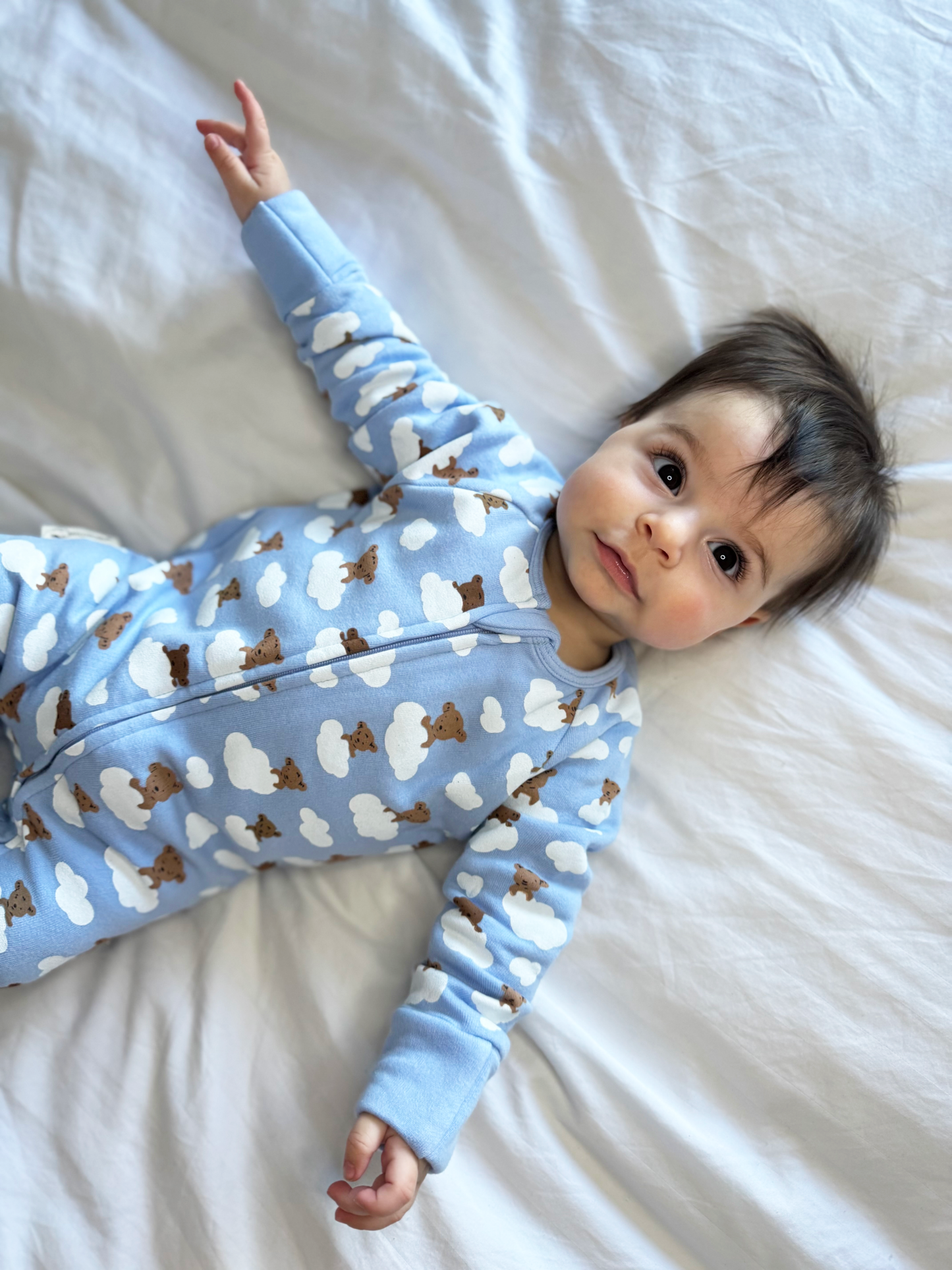 Blue Teddy Bears Organic Cotton Fleece Growsuit