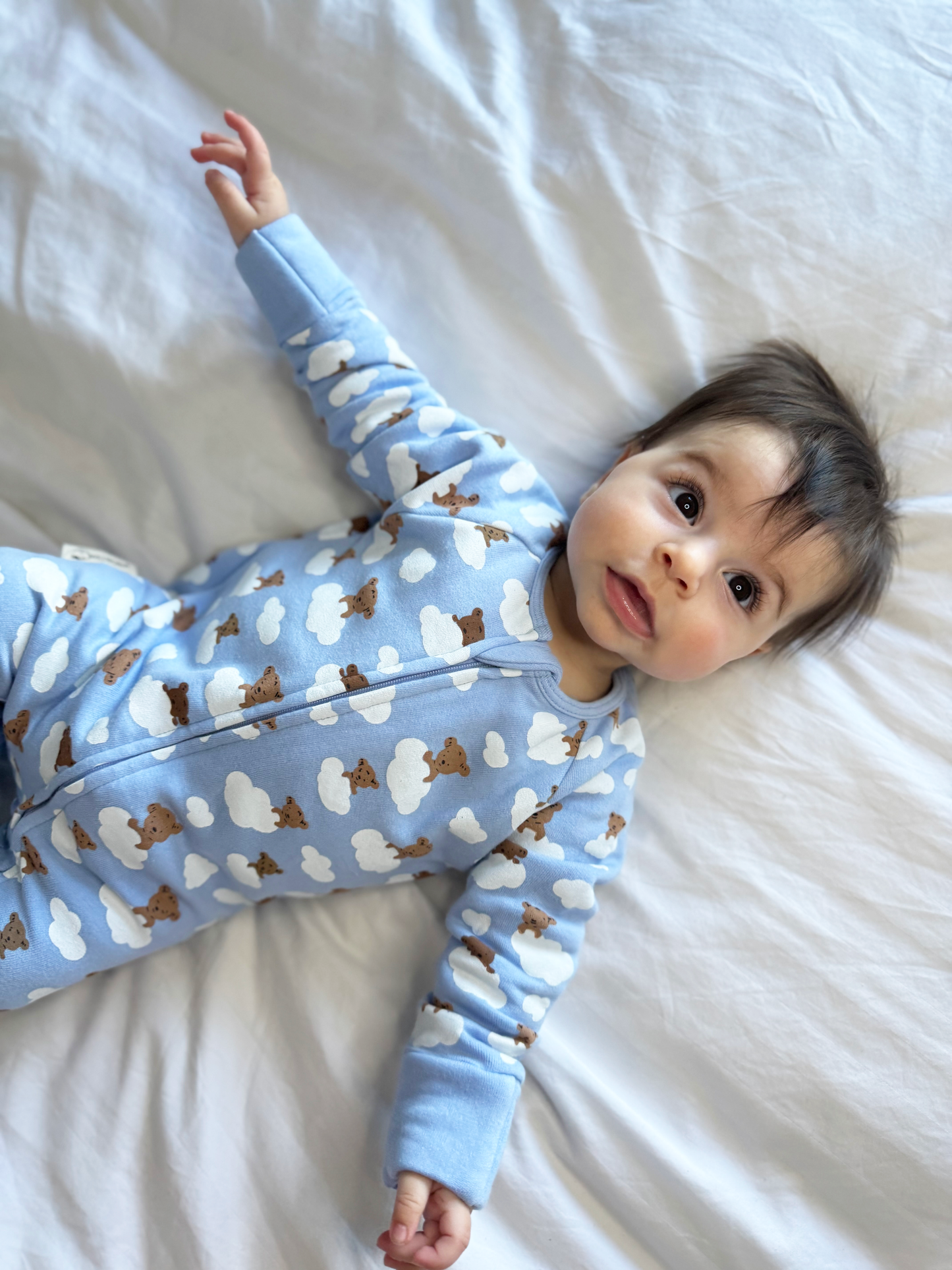 Blue Teddy Bears Organic Cotton Fleece Growsuit