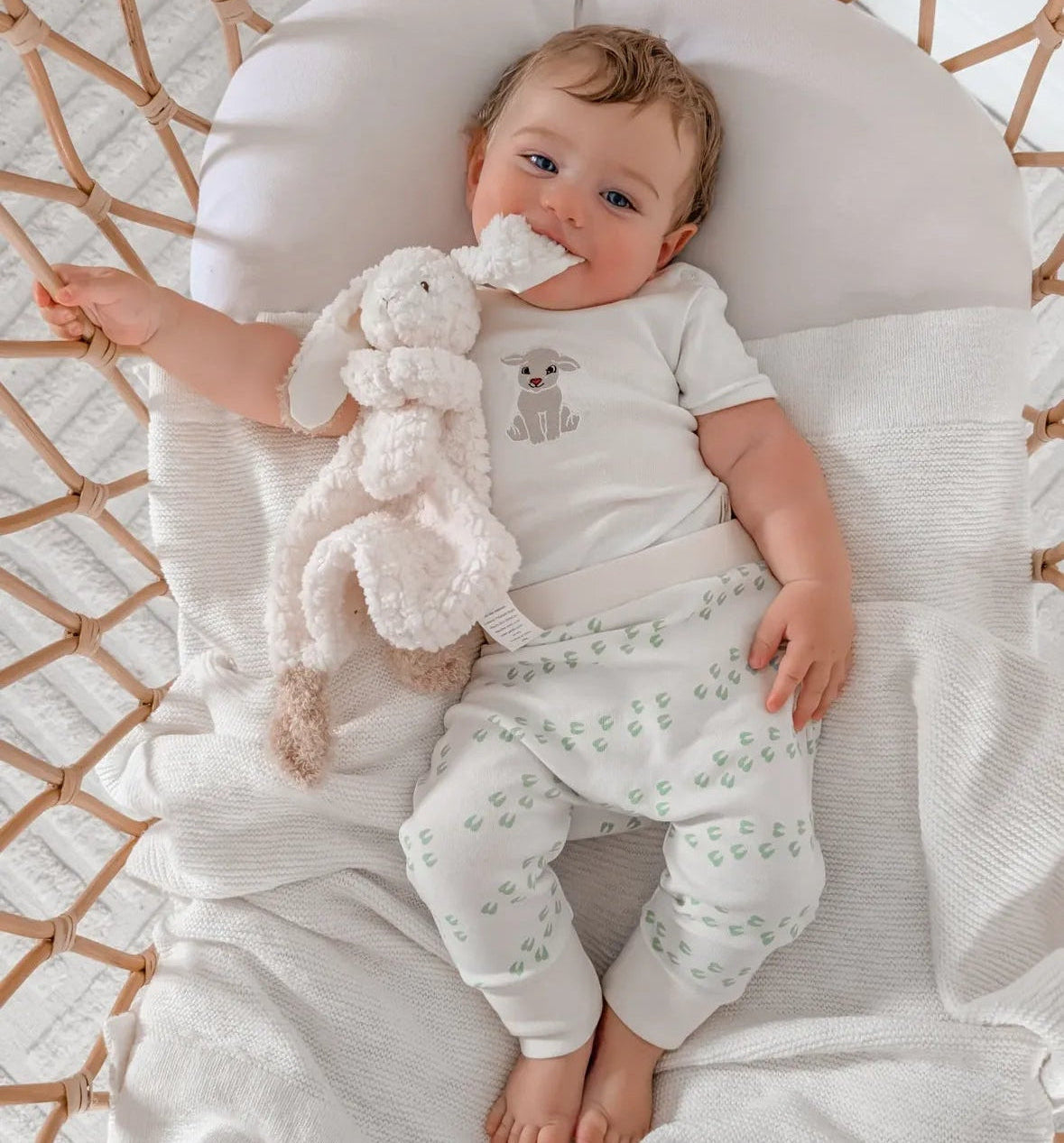 Baby Lamb Organic Cotton Short Sleeve Bodysuit