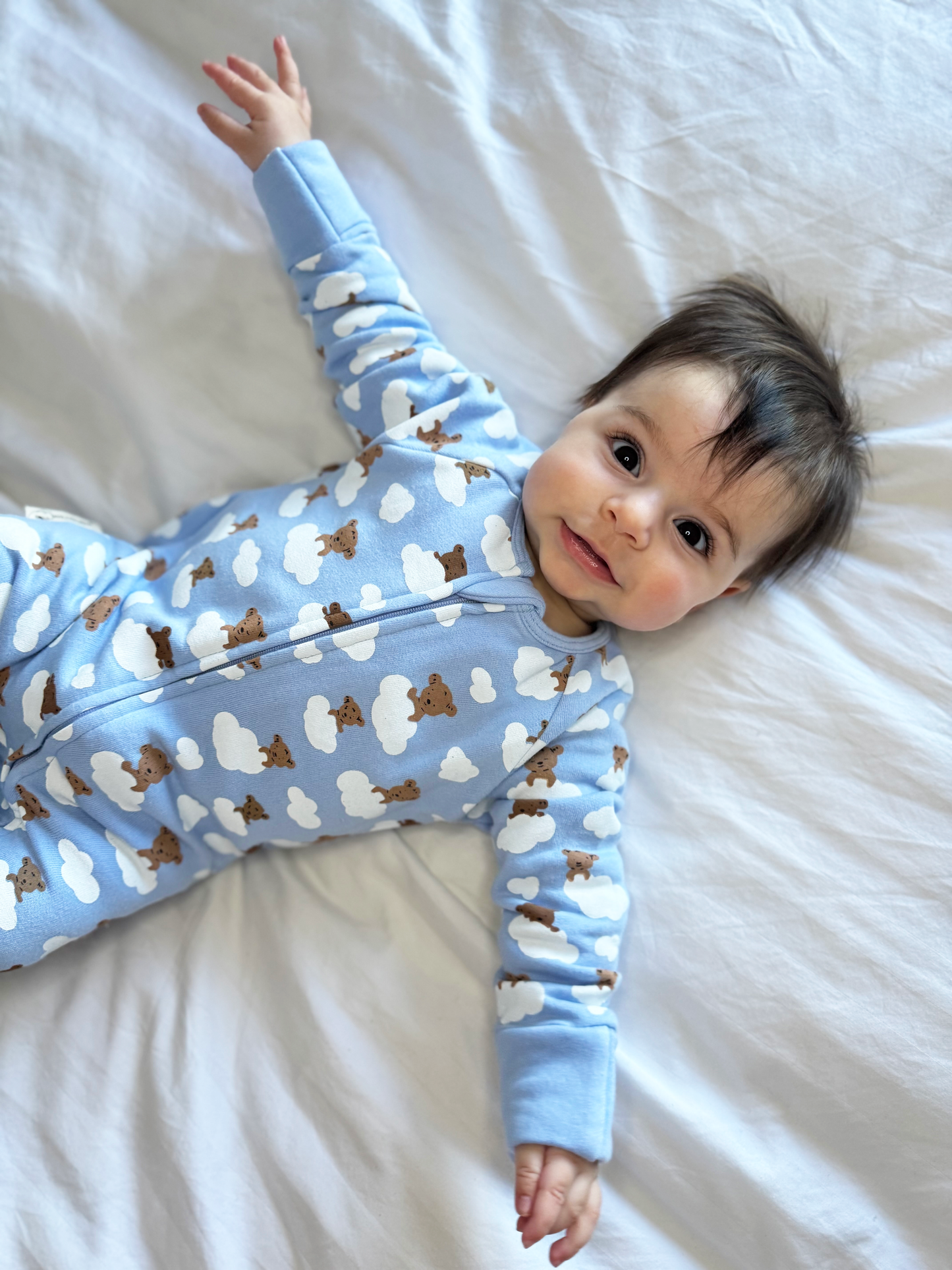 Blue Teddy Bears Organic Cotton Fleece Growsuit