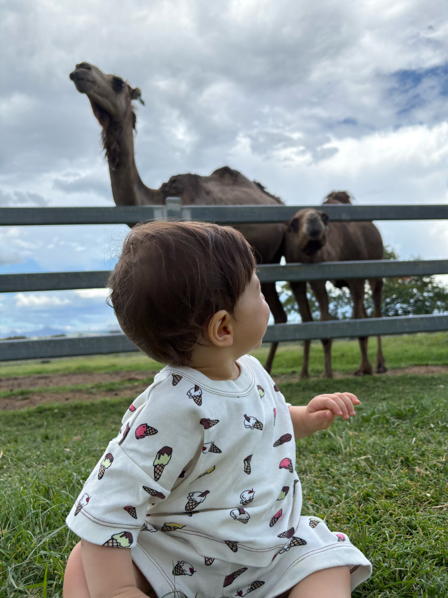 Ice-Cream Organic Cotton Shorts