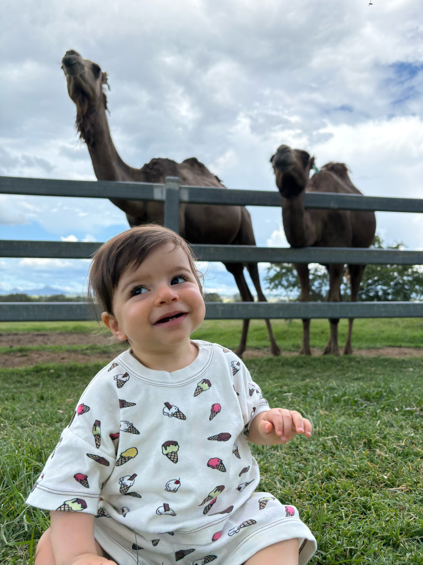 Ice-Cream Organic Cotton Shorts